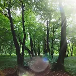 Parkowa Sypialnia *