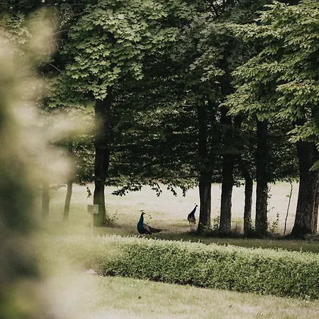 Parkowa Sypialnia Rozalin (Pruszkow)